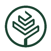 重庆常春树教育