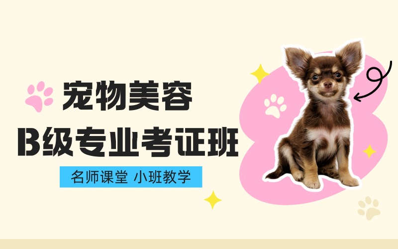 泉州宠物美容B级专业考证班
