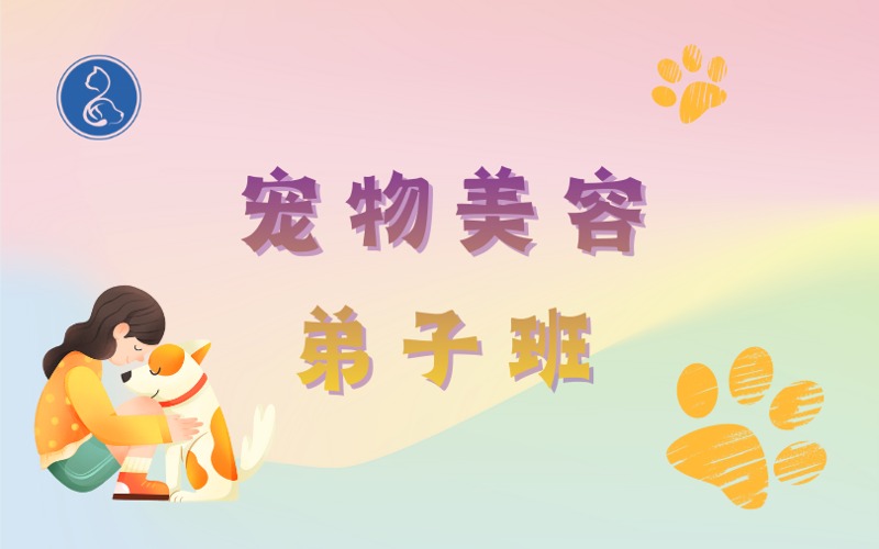 泉州宠物美容护理弟子培训班