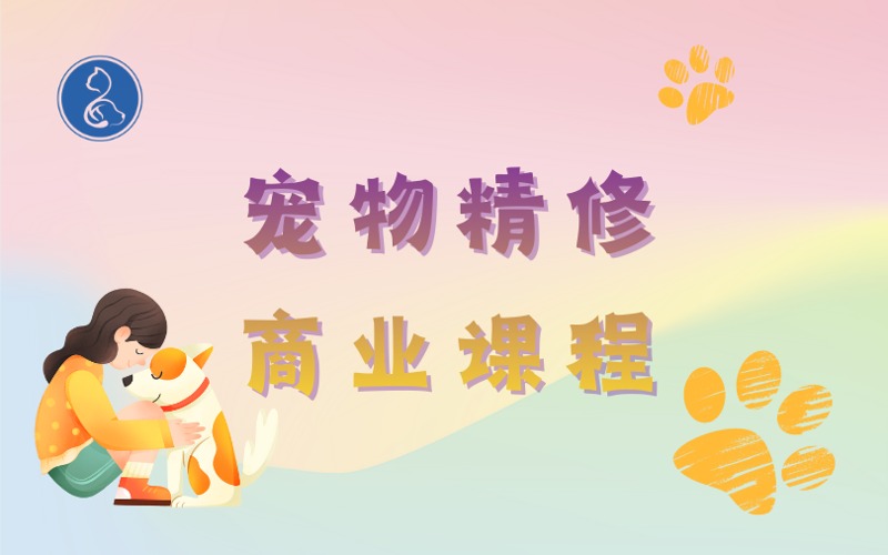 泉州宠物美容精修商业培训课程
