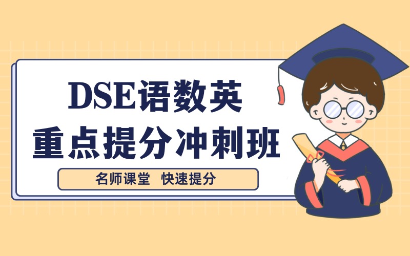 香港DSE语数英重点提分冲刺班