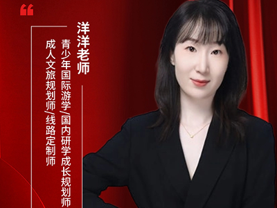 河北新东方文旅顾问好不好？