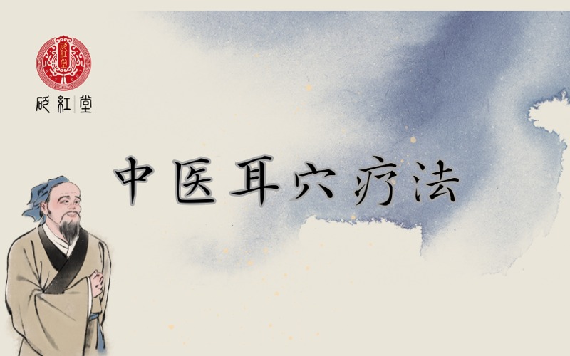 石家庄中医耳穴疗法实战培训课