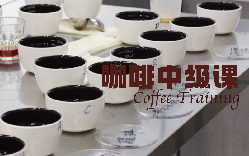 北京中級咖啡師培訓班