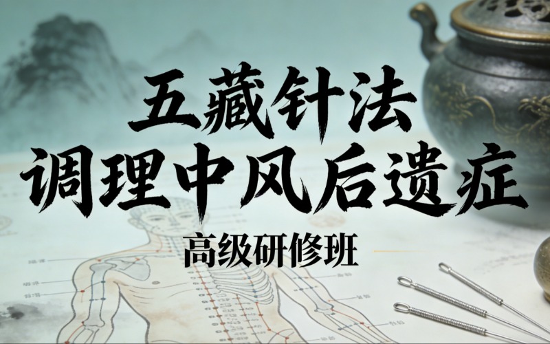 聊城五藏针法调理中风后遗症高级研修班