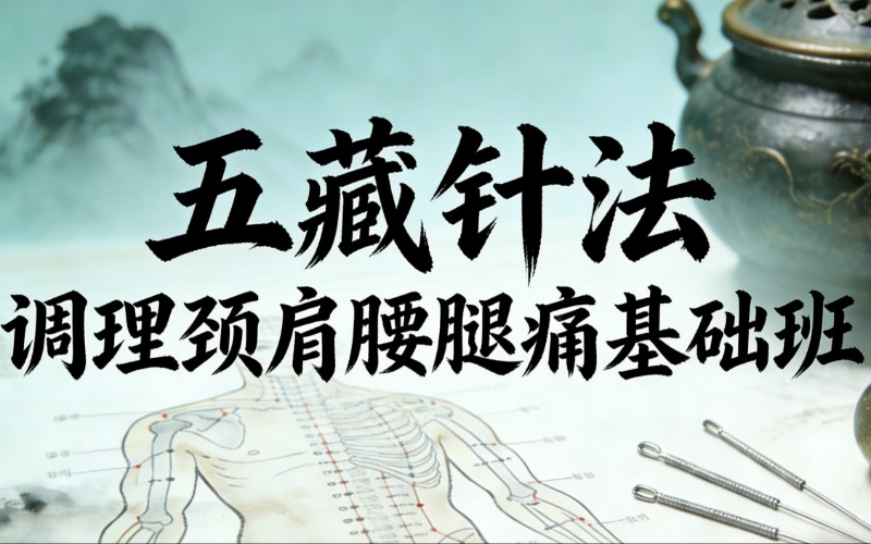 聊城五藏针法调理颈肩腰腿痛基础班