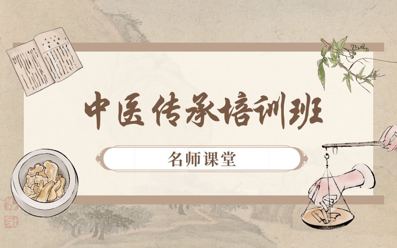 石家庄中医传承培训班