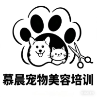 青海慕晨宠物美容培训中心