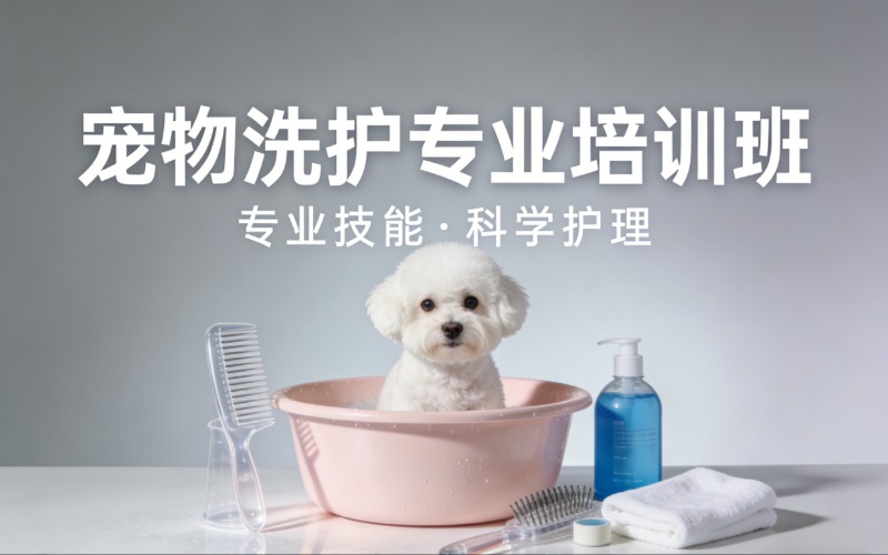西宁宠物洗护专业培训班