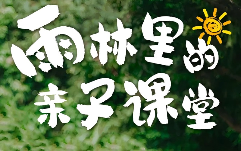 西双版纳&普洱野趣野撒欢·雨林里的亲子课堂