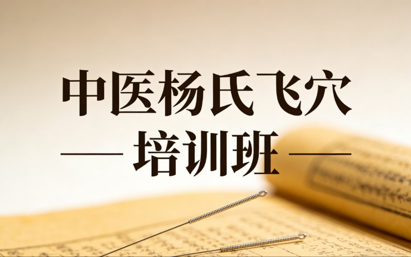 中医杨氏飞穴专业培训班