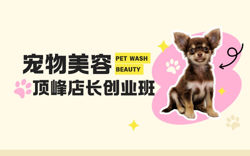 成都宠物美容顶峰店长创业班