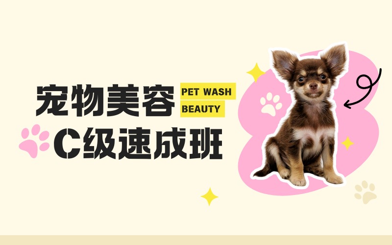 成都宠物美容C级速成班