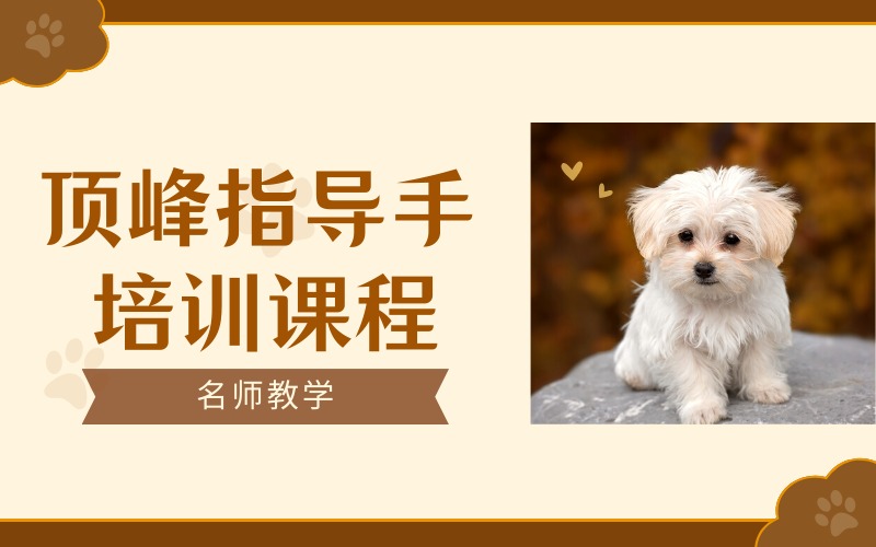 成都宠物顶峰指导手培训课程