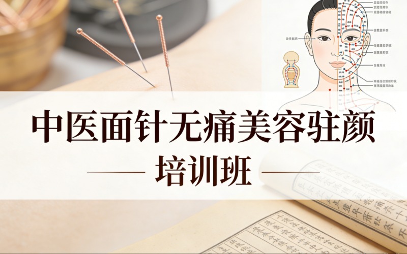 成都中医面针无痛美容驻颜培训班