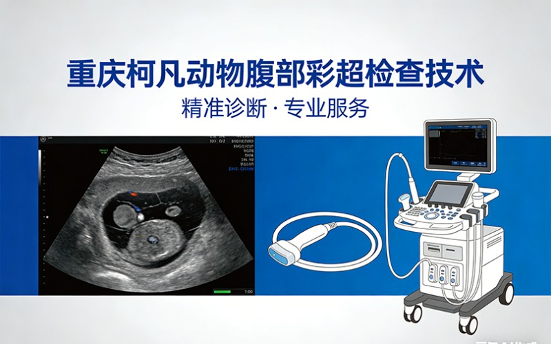 重庆动物心脏彩超检查技术培训