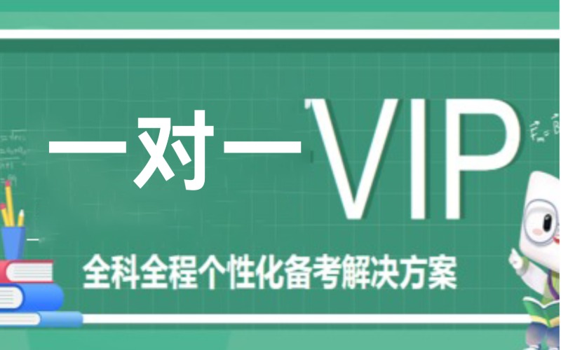 苏州个性化VIP一对一辅导课程