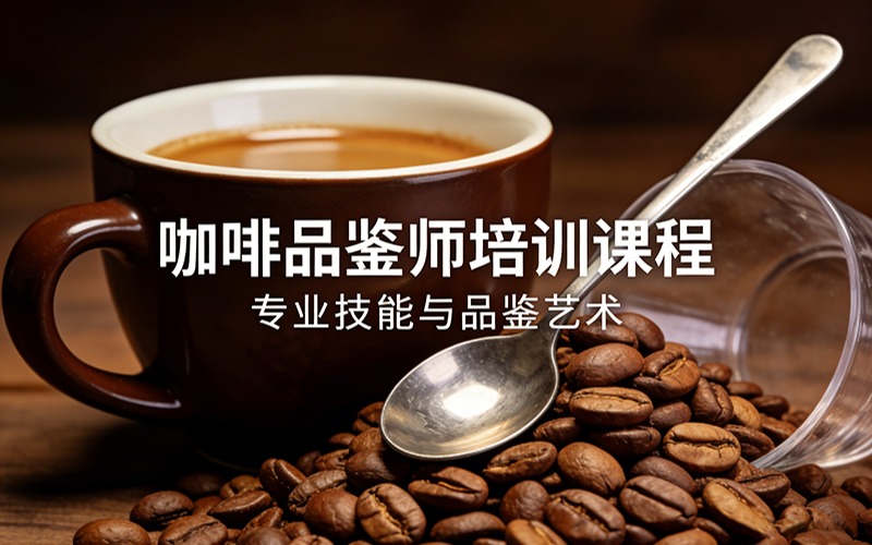 沈阳咖啡品鉴师培训课程