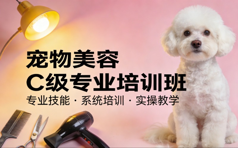 泰州宠物美容C级专业培训班