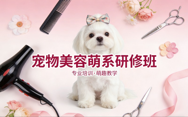 泰州宠物美容萌系研修班