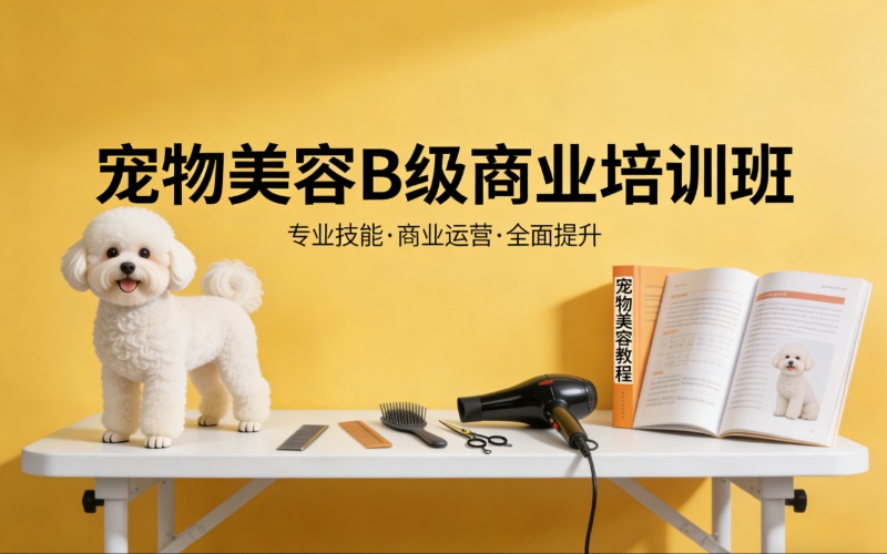 泰州宠物美容B级商业培训班