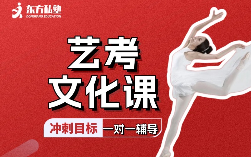 北京艺考文化课一对一培训班
