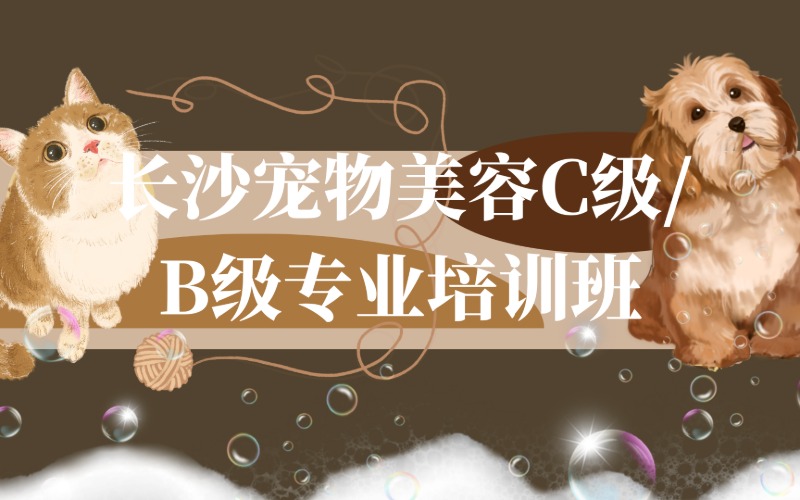 长沙宠物美容C级/B级专业培训班