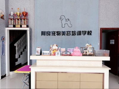 长沙阿良宠物美容培训学校的环境怎么样？