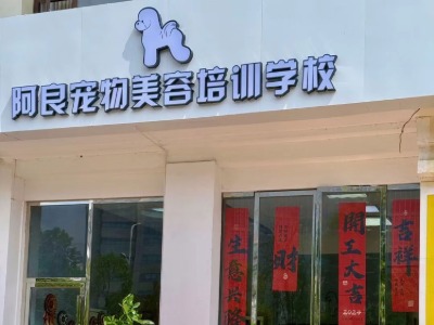长沙阿良宠物美容培训学校的教学现场是怎么样的？