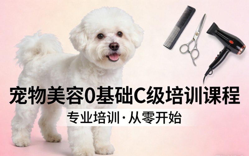 北京宠物美容0基础C级培训课程