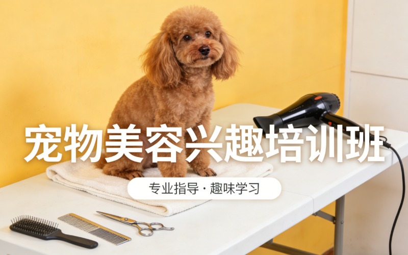 北京宠物美容兴趣培训班