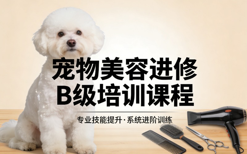 北京宠物美容进修B级培训课程