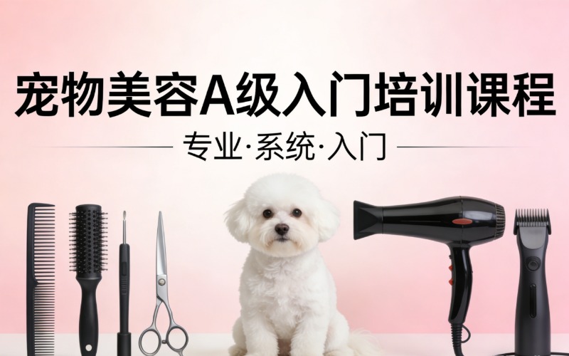 北京宠物美容A级入门培训课程