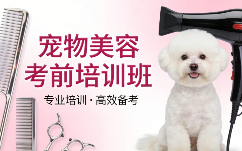 北京宠物美容考前培训班