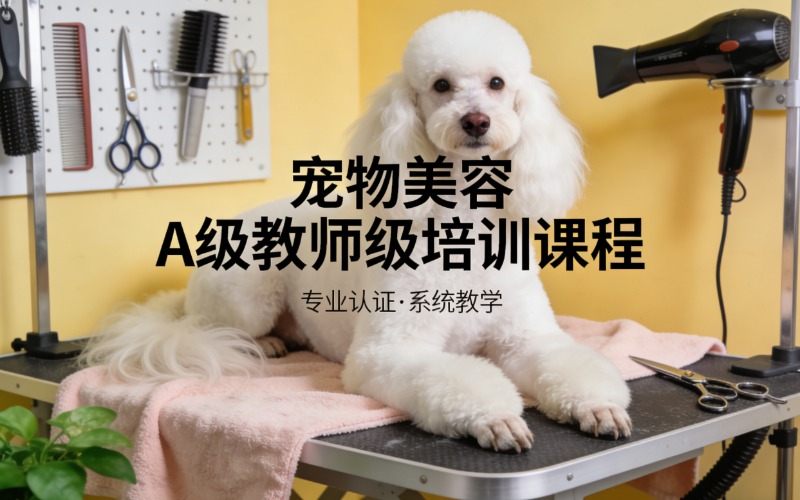 北京寵物美容A級教師級培訓課程