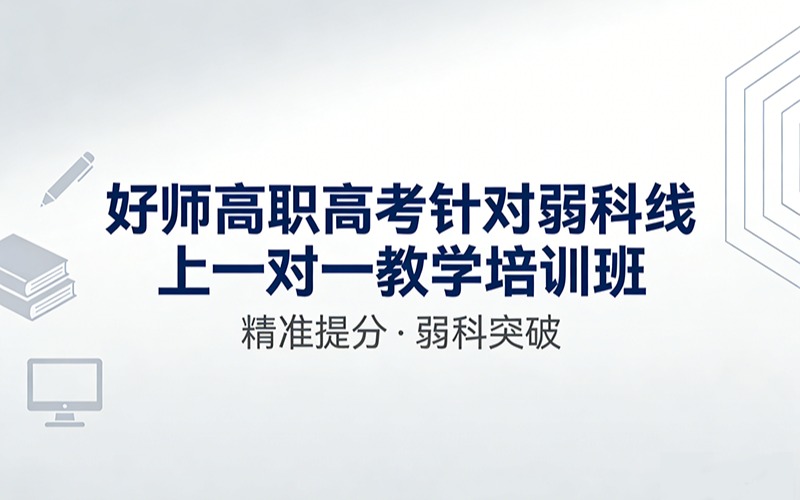 好师高职高考针对弱科线上一对一教学培训班