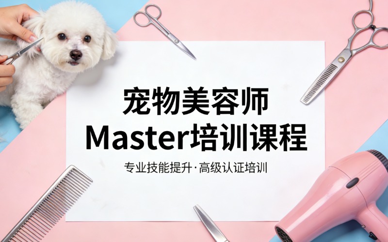 寵物美容師Master培訓(xùn)課程