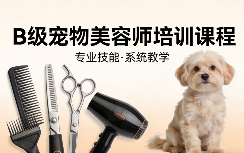 B級寵物美容師培訓(xùn)課程