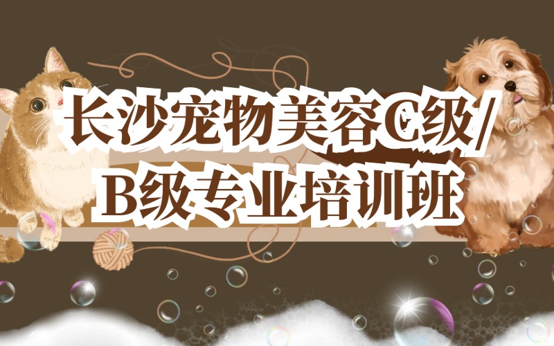 长沙宠物美容C级/B级专业培训班