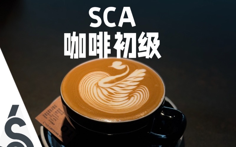北京SCA初级咖啡师5日班