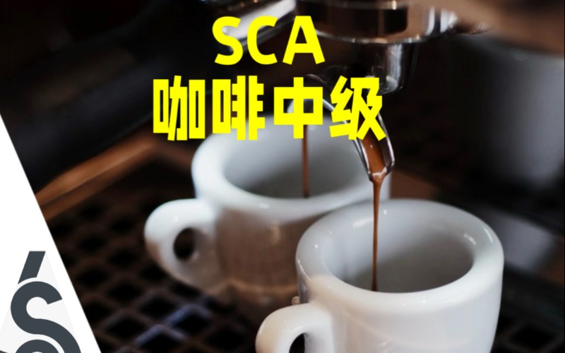 北京SCA中级咖啡师6日班
