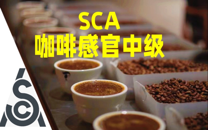 北京SCA中级咖啡感官7日班