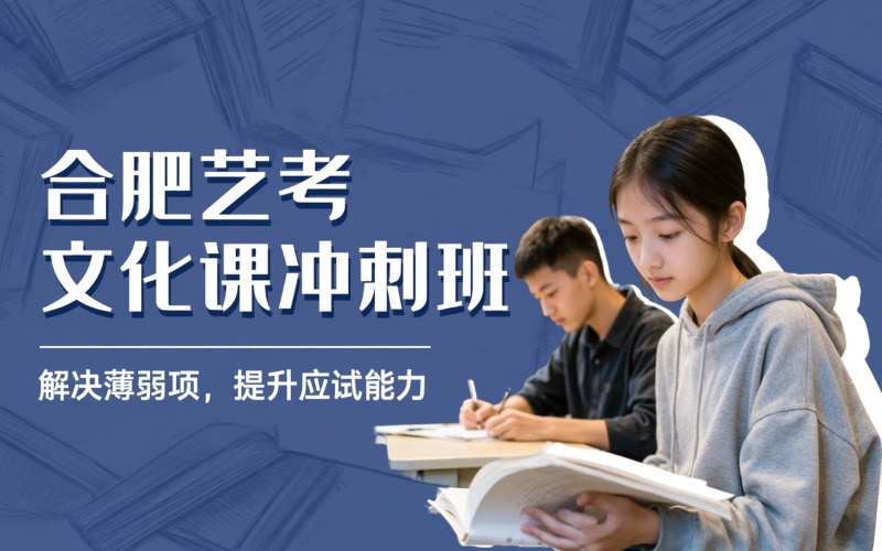 合肥艺考生文化课全日制封闭式冲刺小班