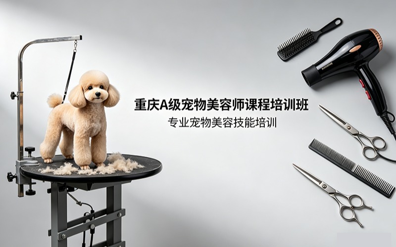 重慶A級(jí)寵物美容師課程培訓(xùn)班