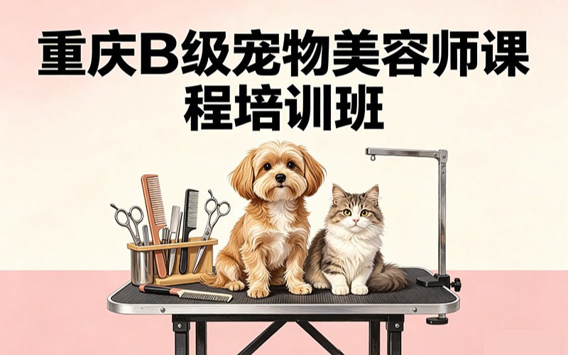 重慶B級寵物美容師課程培訓(xùn)班
