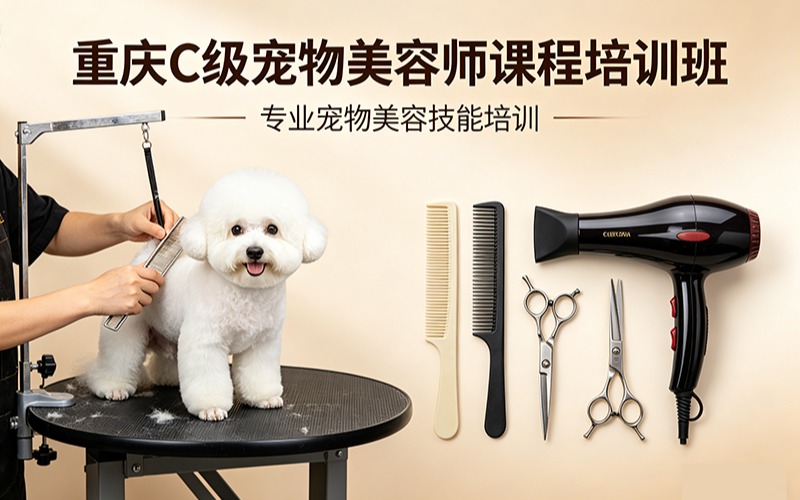 重庆C级宠物美容师课程培训班