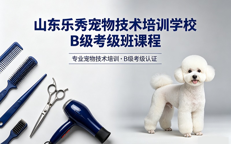 山东乐秀宠物技术培训学校b级考级班