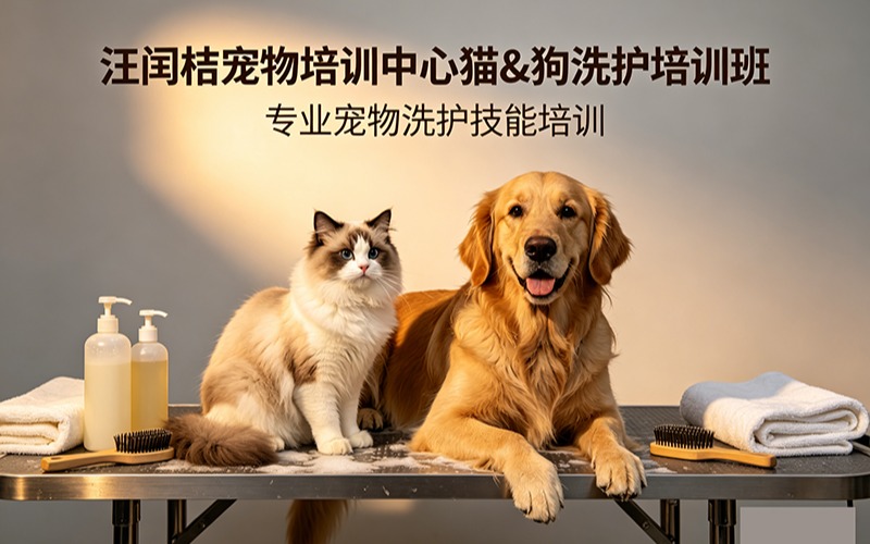 武漢寵物美容貓狗洗護(hù)培訓(xùn)班