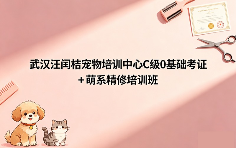 武汉汪闰桔宠物培训中心C级0基础考证 + 萌系精修培训班