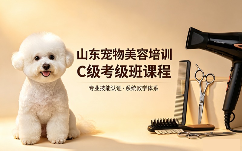 山東寵物美容培訓(xùn)C級考級班